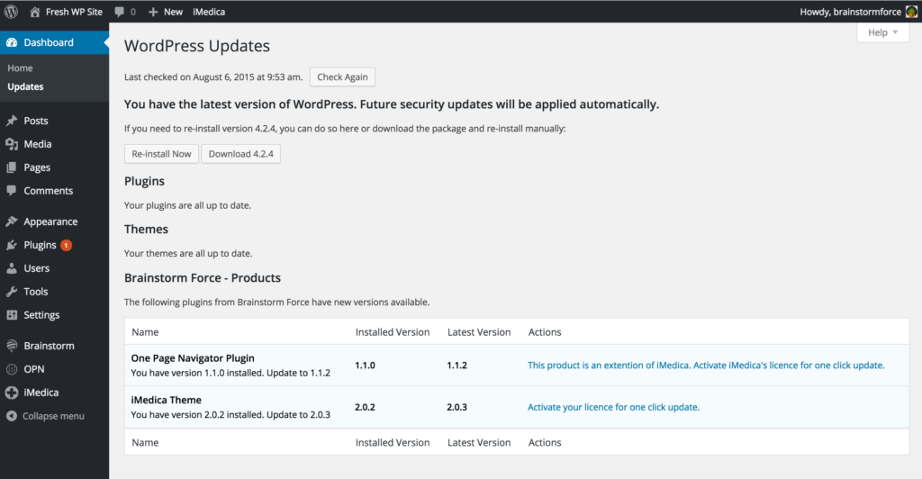 Update Theme or Plugin through Brainstorm Core